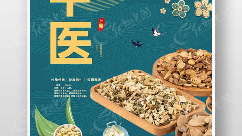 家用养生保健器材：如何挑选适合自己的好帮手**