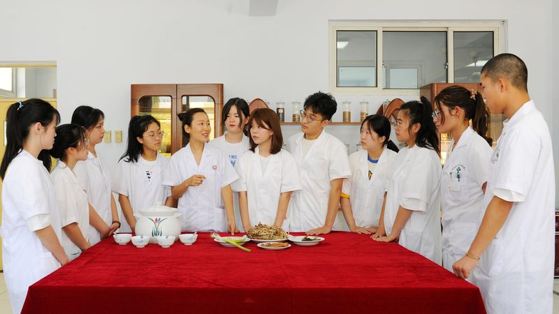 拔罐器批发价格报价